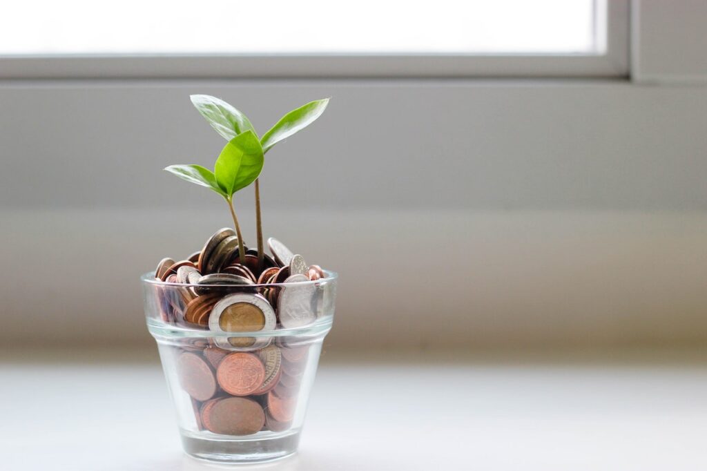 small plant potted in coins